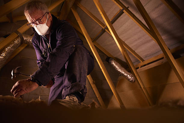 Best Affordable Insulation Services  in Laconia, NH